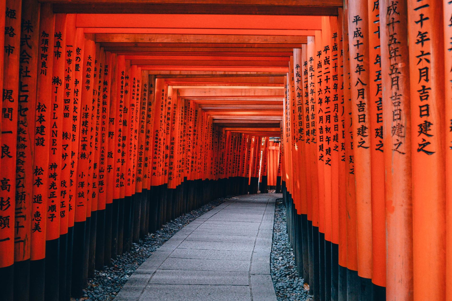Geishas y samurais. Japón. NUBA everywhere. Santuario Fuhimi Inari y puertas torii