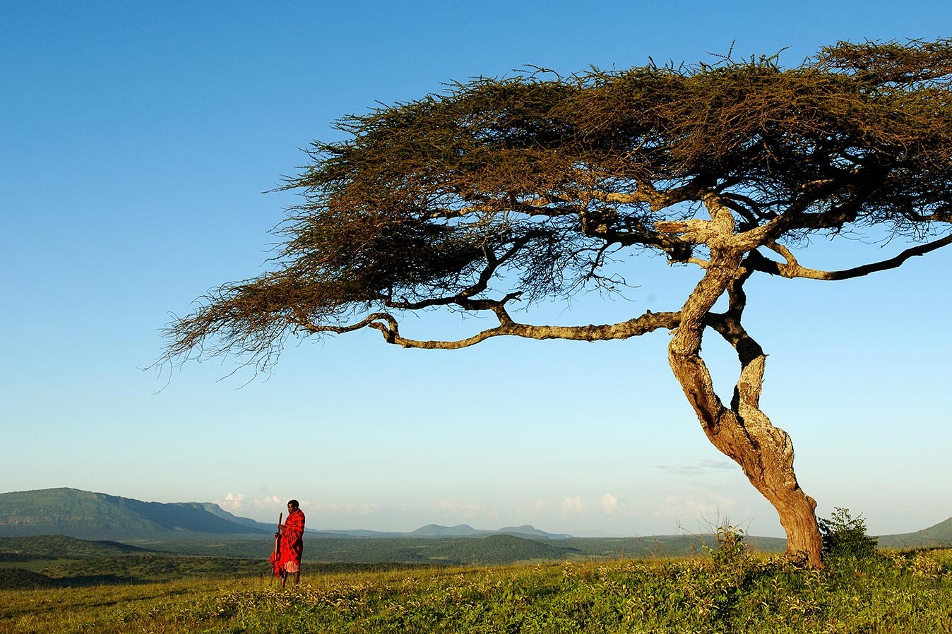 El corazón de África. Tanzania. NUBA everywhere. Karatu Masai