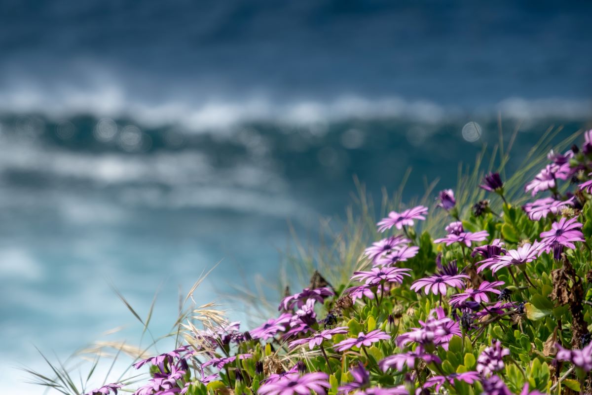 Viajar en familia-Azores-angra
