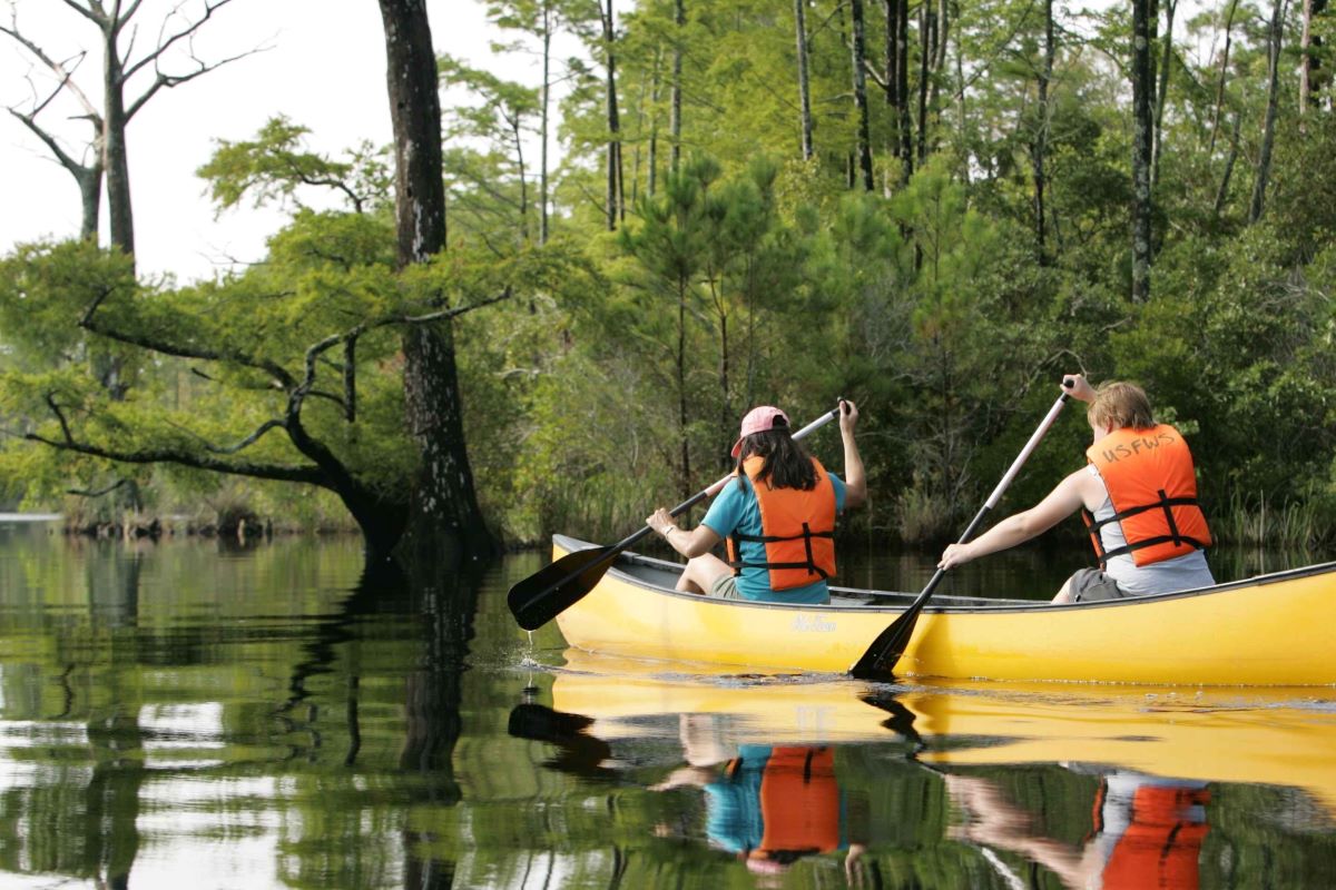 Viajar a Laponia verano-water-sport-boat-river-canoe