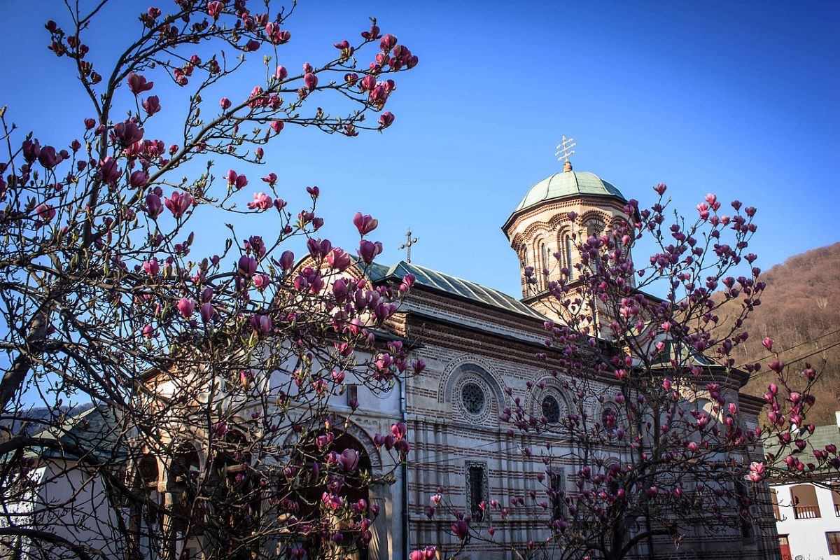 Viajar en familia-Transilvania-cozia_magnolii