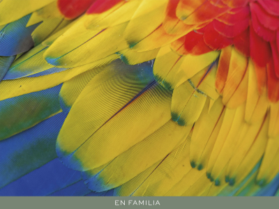 Viajar En familia -Costa-Rica-post