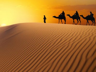 Marruecos fin de año - camellos desierto POST