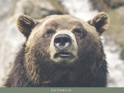 Viajar en familia -Canada-post