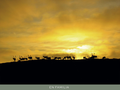 Viajar en familia -Laponia-verano-post