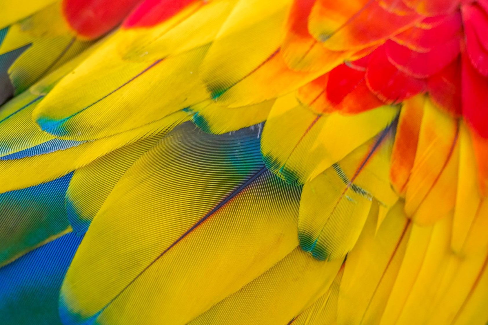 COSTA RICA, el palacio natural